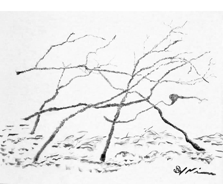 Dirk Nienemann, Künstler Holzkohlezeichnungen, Lehrte Hannover, Drucke Holzkohlezeichnungen,Abstrakte, Landschaft, Stillleben