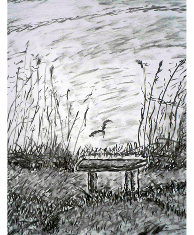 Dirk Nienemann, Künstler Holzkohlezeichnungen, Lehrte Hannover, Drucke Holzkohlezeichnungen,Abstrakte, Landschaft, Stillleben