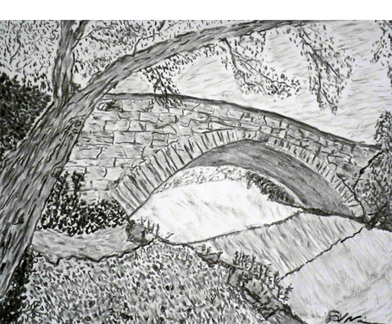 Dirk Nienemann, Künstler Holzkohlezeichnungen, Lehrte Hannover, Drucke Holzkohlezeichnungen,Abstrakte, Landschaft, Stillleben