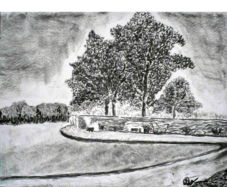 Dirk Nienemann, Künstler Holzkohlezeichnungen, Lehrte Hannover, Drucke Holzkohlezeichnungen,Abstrakte, Landschaft, Stillleben