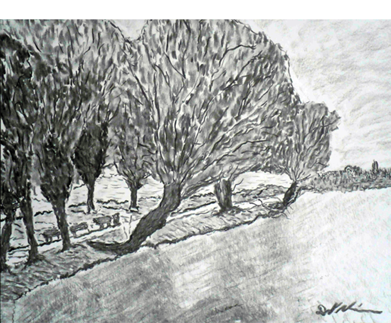Dirk Nienemann, Künstler Holzkohlezeichnungen, Lehrte Hannover, Drucke Holzkohlezeichnungen,Abstrakte, Landschaft, Stillleben
