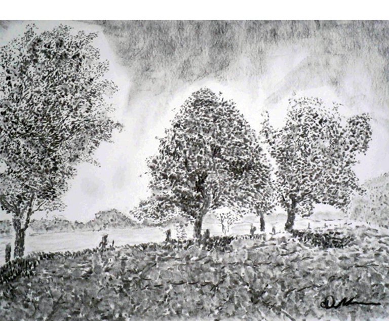 Dirk Nienemann, Künstler Holzkohlezeichnungen, Lehrte Hannover, Drucke Holzkohlezeichnungen,Abstrakte, Landschaft, Stillleben