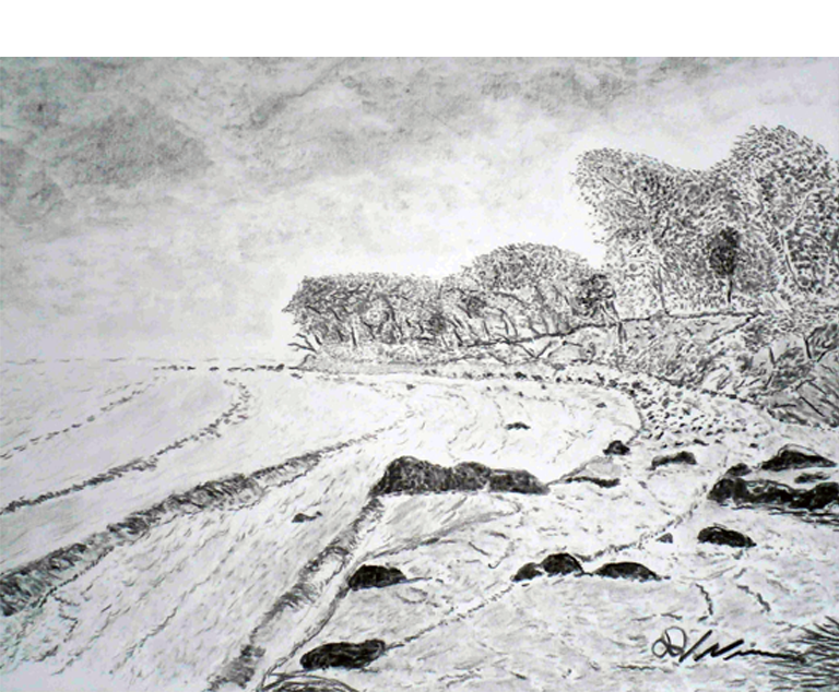 Dirk Nienemann, Künstler Holzkohlezeichnungen, Lehrte Hannover, Drucke Holzkohlezeichnungen,Abstrakte, Landschaft, Stillleben