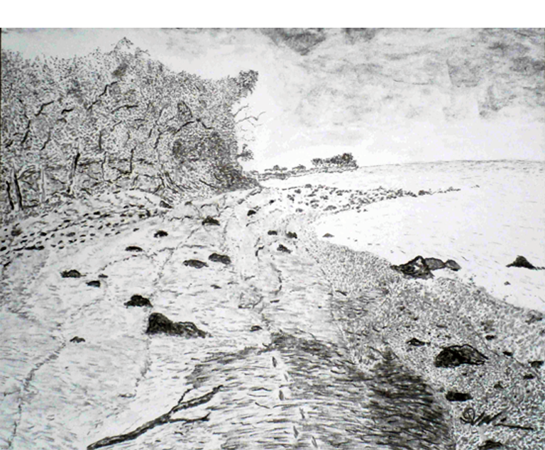 Dirk Nienemann, Künstler Holzkohlezeichnungen, Lehrte Hannover, Drucke Holzkohlezeichnungen,Abstrakte, Landschaft, Stillleben