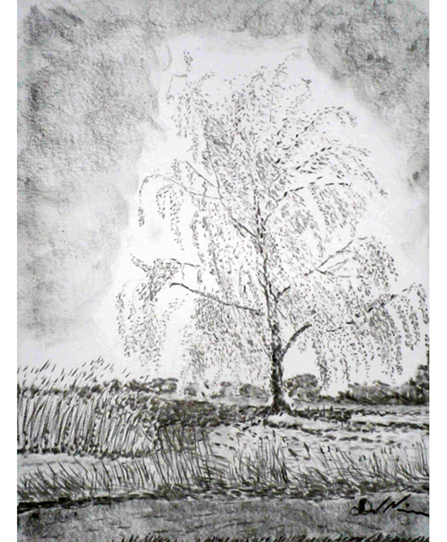Dirk Nienemann, Künstler Holzkohlezeichnungen, Lehrte Hannover, Drucke Holzkohlezeichnungen,Abstrakte, Landschaft, Stillleben