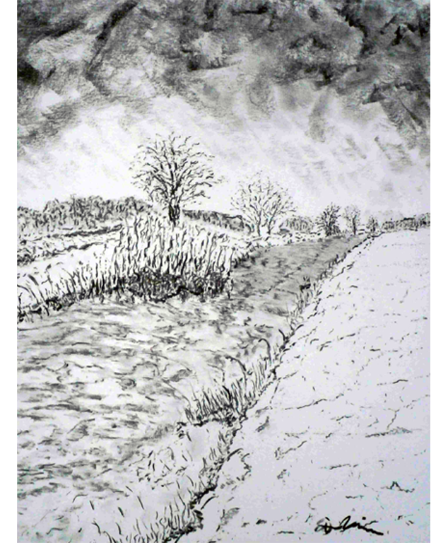 Dirk Nienemann, Künstler Holzkohlezeichnungen, Lehrte Hannover, Drucke Holzkohlezeichnungen,Abstrakte, Landschaft, Stillleben